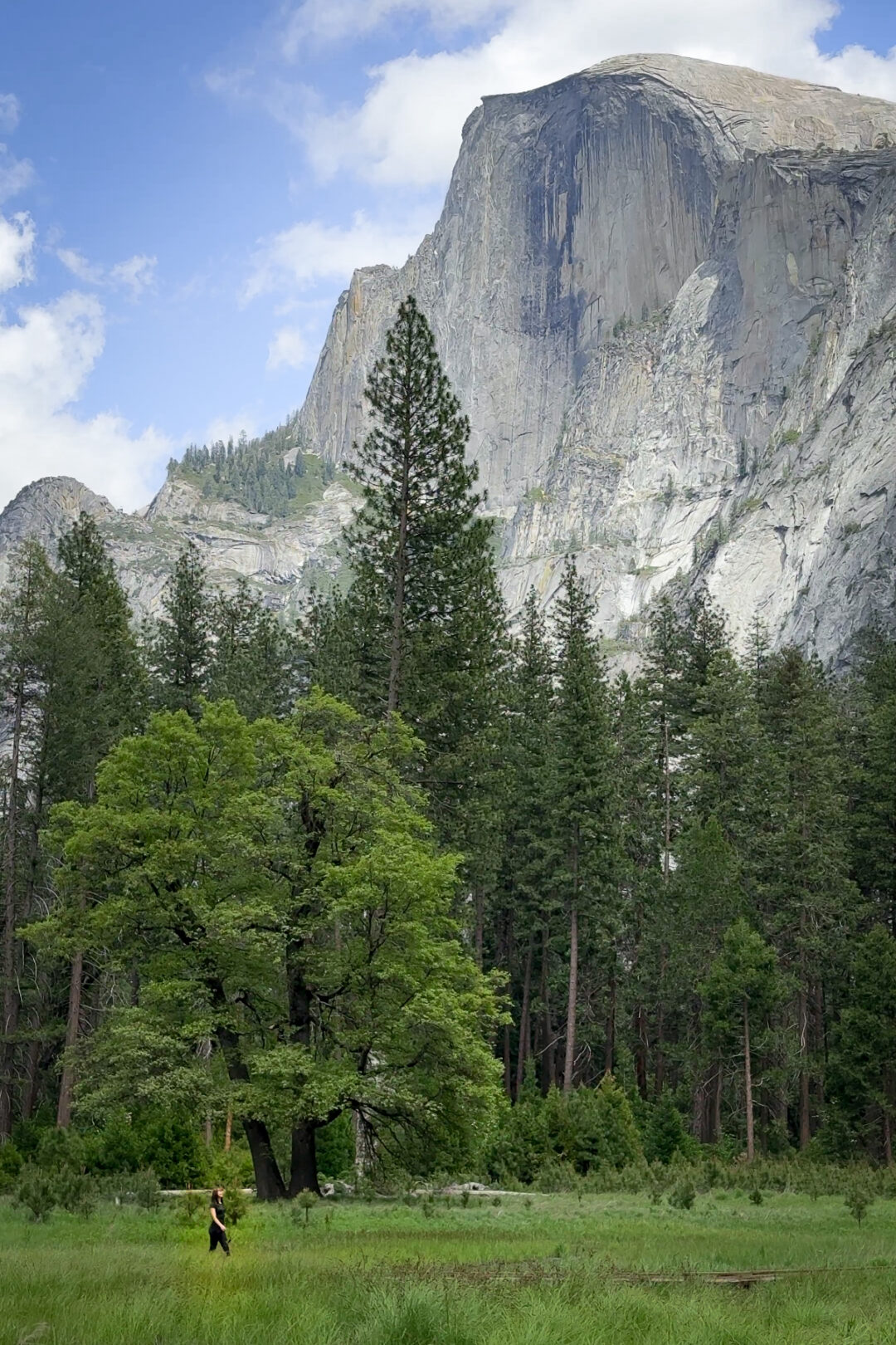 Travel Blogger Jordan Gassner walking through Stoneman Meadow on a Yosemite weekend trip