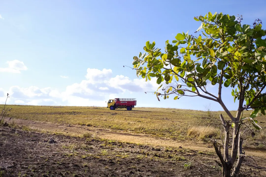A truck riding along a remote road in Sumba, Indonesia