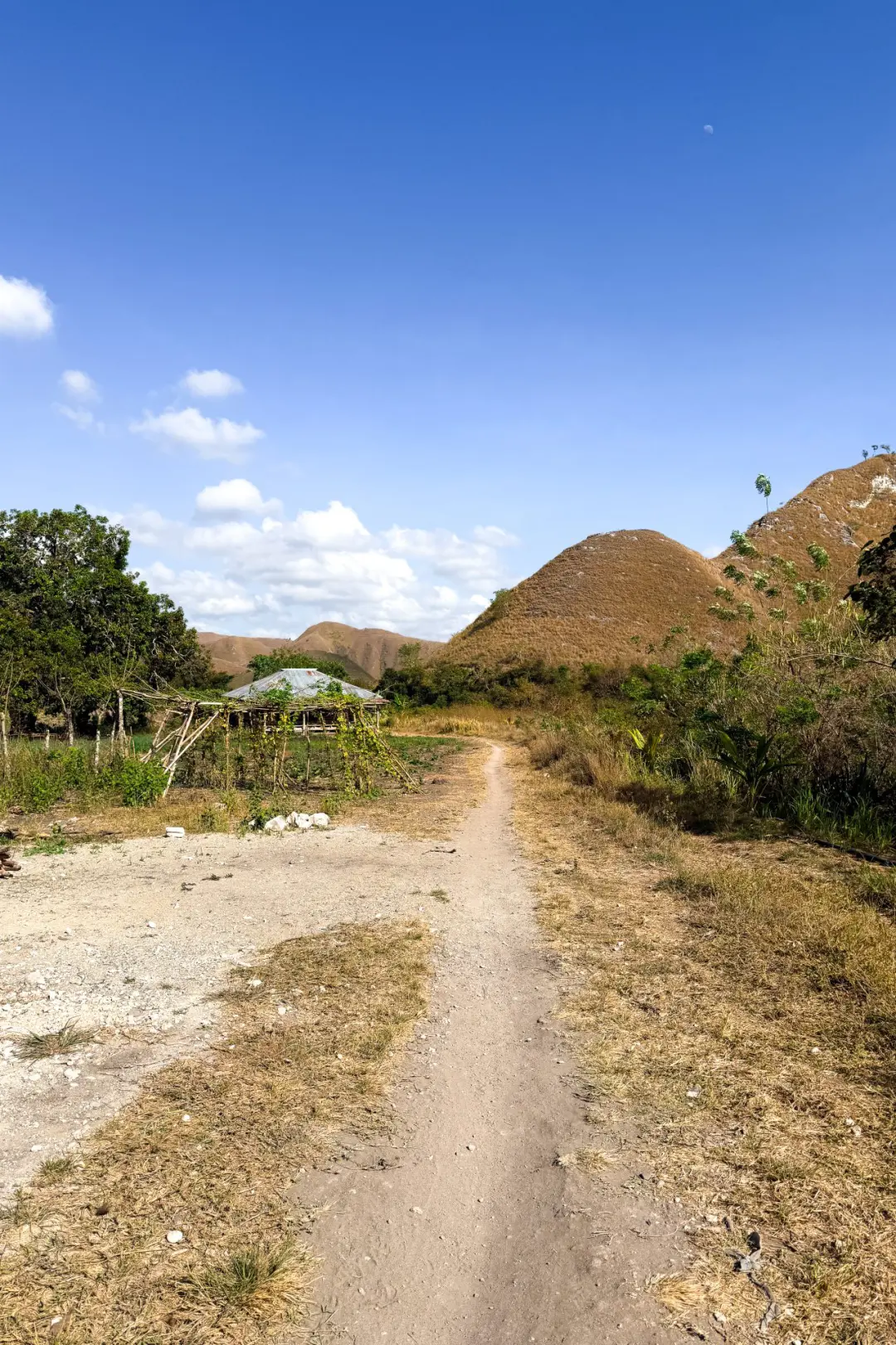 A remote path leading up to a structure in the savannah of East Sumba Regency in Sumba, Indonesia