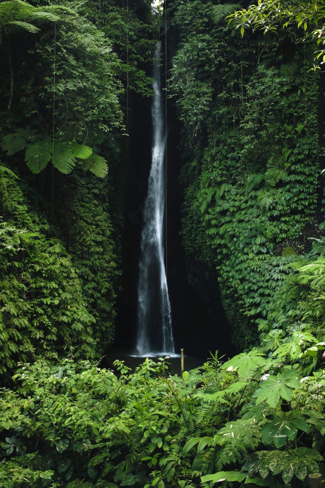 Leke Leke waterfall surrounded by lush green, tropical landscape in Bali, Indonesia