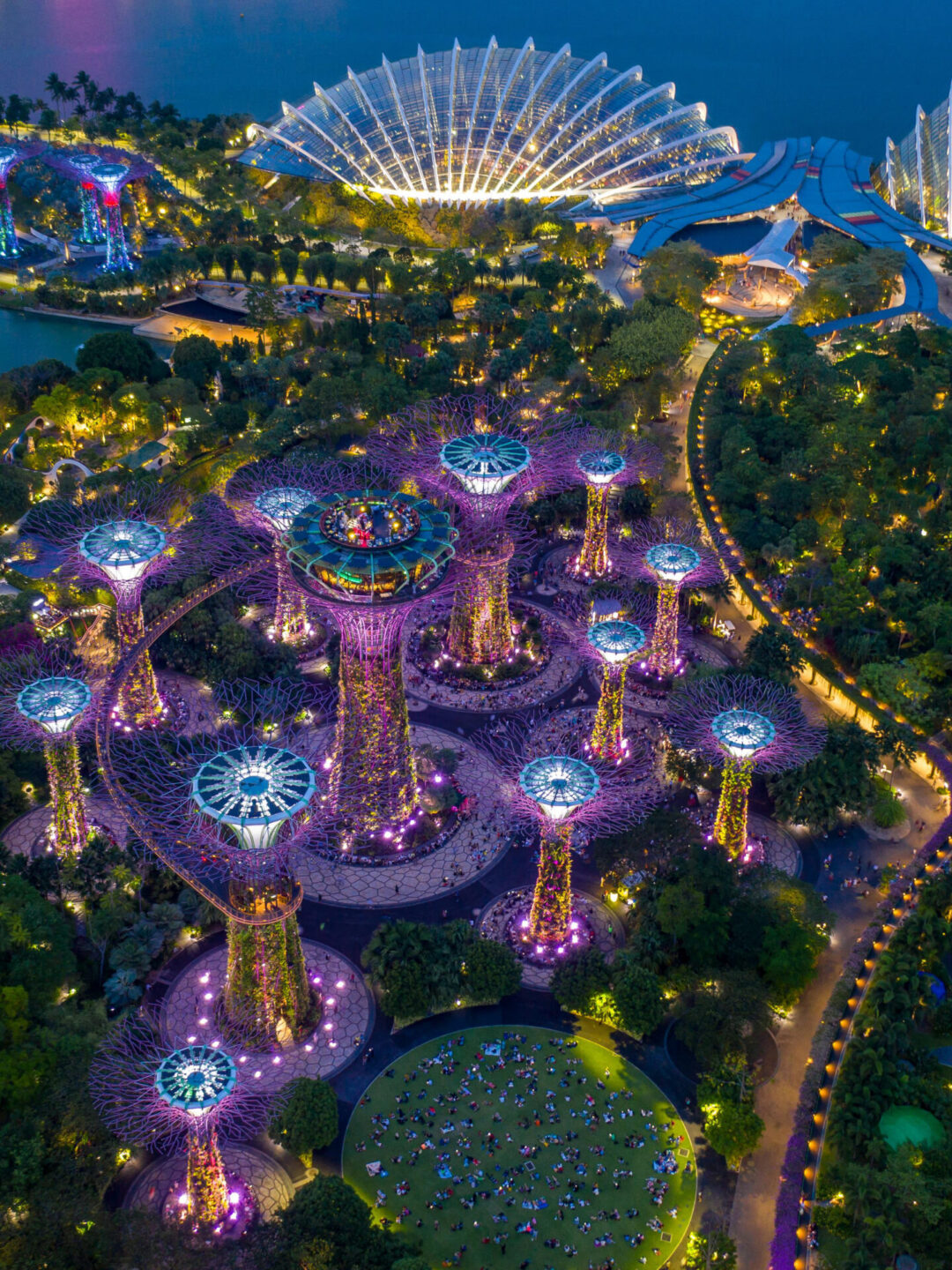 An aerial view of Gardens by the Bay at night in Singapore