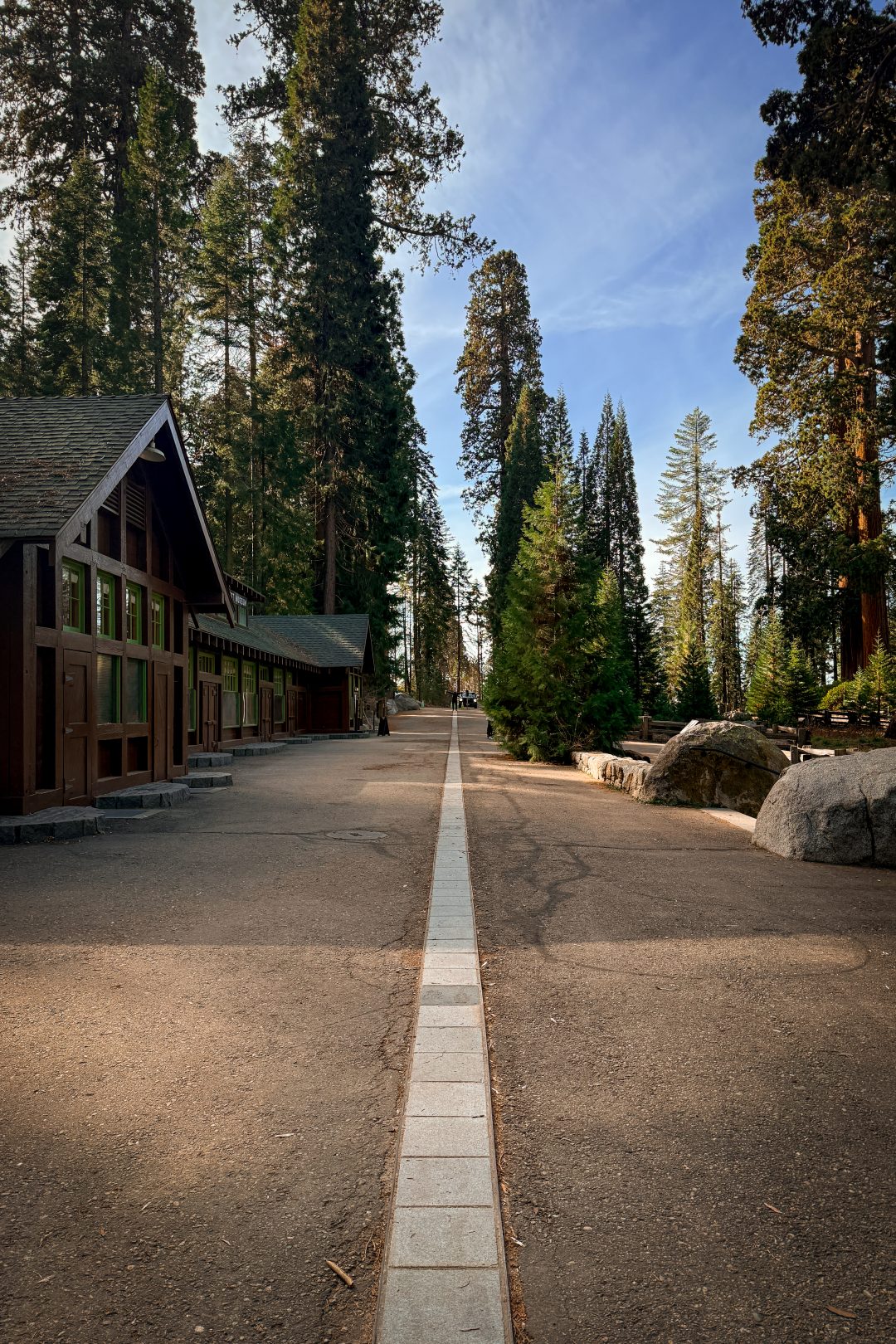 A line showing how tall a giant sequoia can grow outside of the Giant Forest Museum in Sequoia National Park, California, USA
