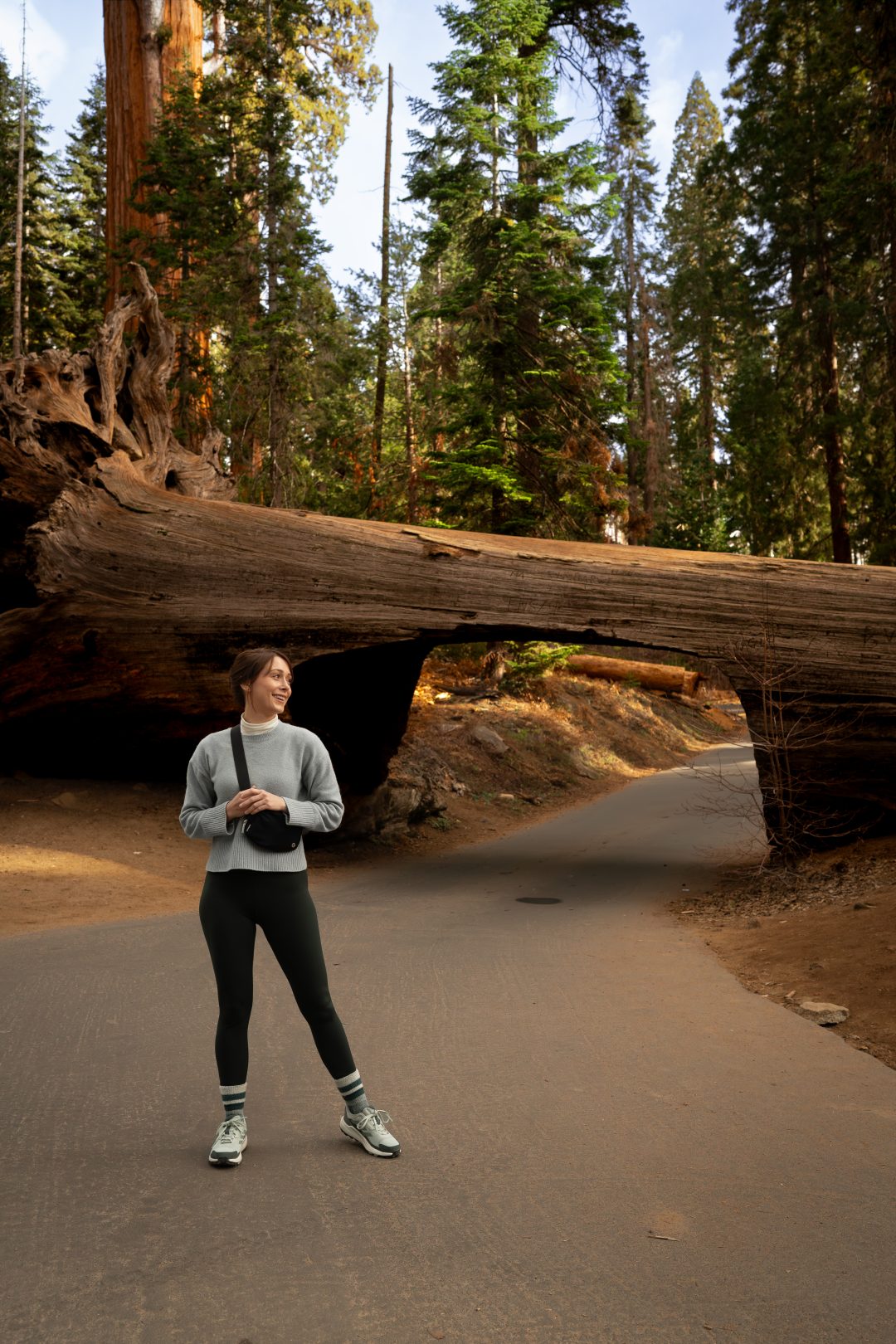 Travel Blogger Jordan Gassner walking away from Tunnel Log in Sequoia National Park, California, USA