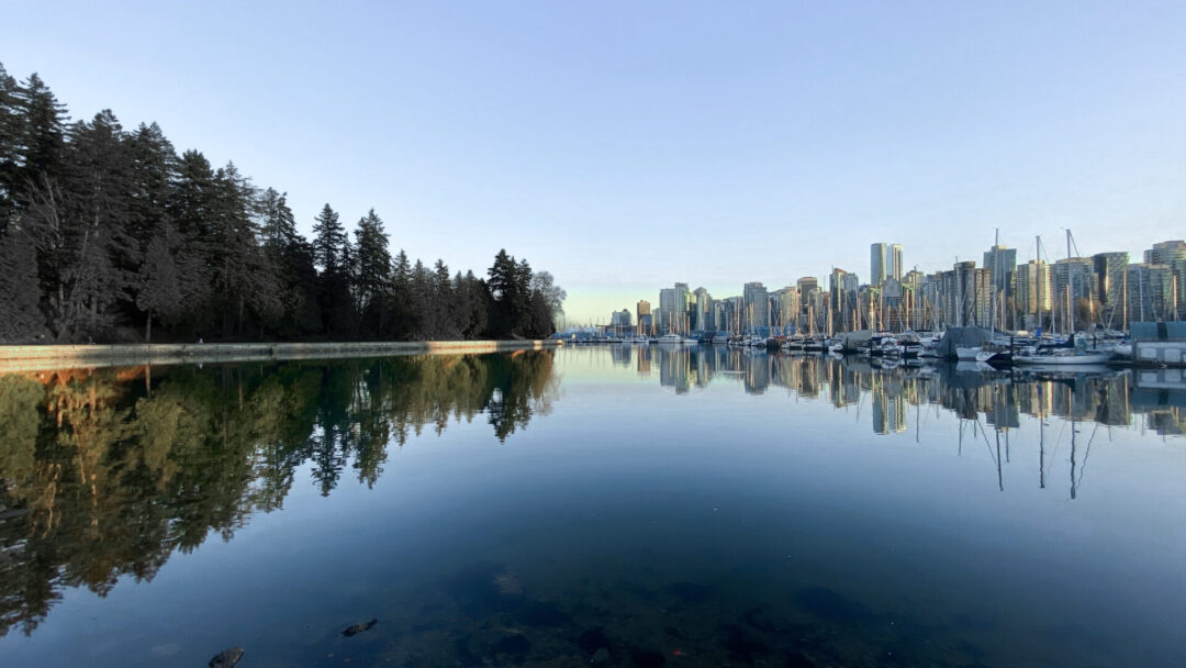 A view of the water in between the trees of Stanley Park and the skyscrapers of downtown Vancouver Canada