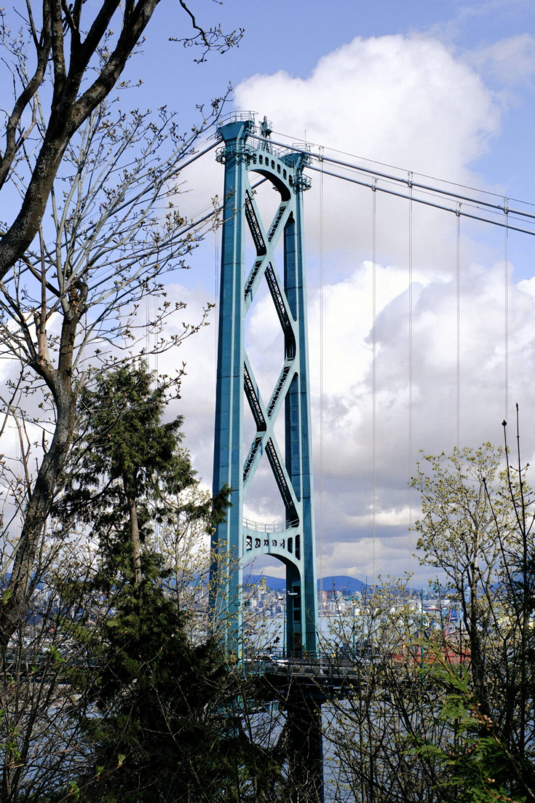 The top of Lions Gate Bridge as seen from the forest inside Stanley Park in Vancouver, Canada