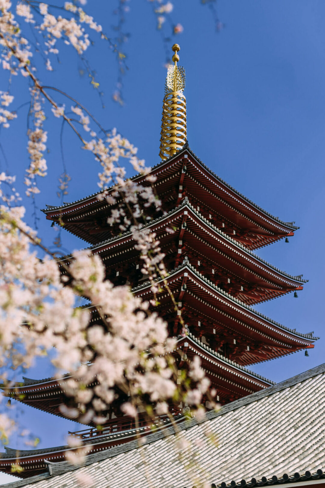 10 Best Solo Travel Countries For First-Timers: A tiered roof in Japan as seen from behind a few branches of cherry blossoms