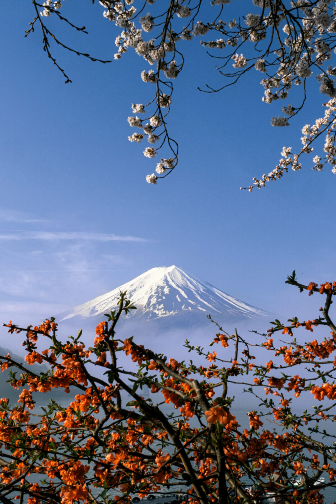 10 Best Solo Travel Countries For First-Timers: Mount Fuji in Japan as seen from behind a few branches of spring blossoms