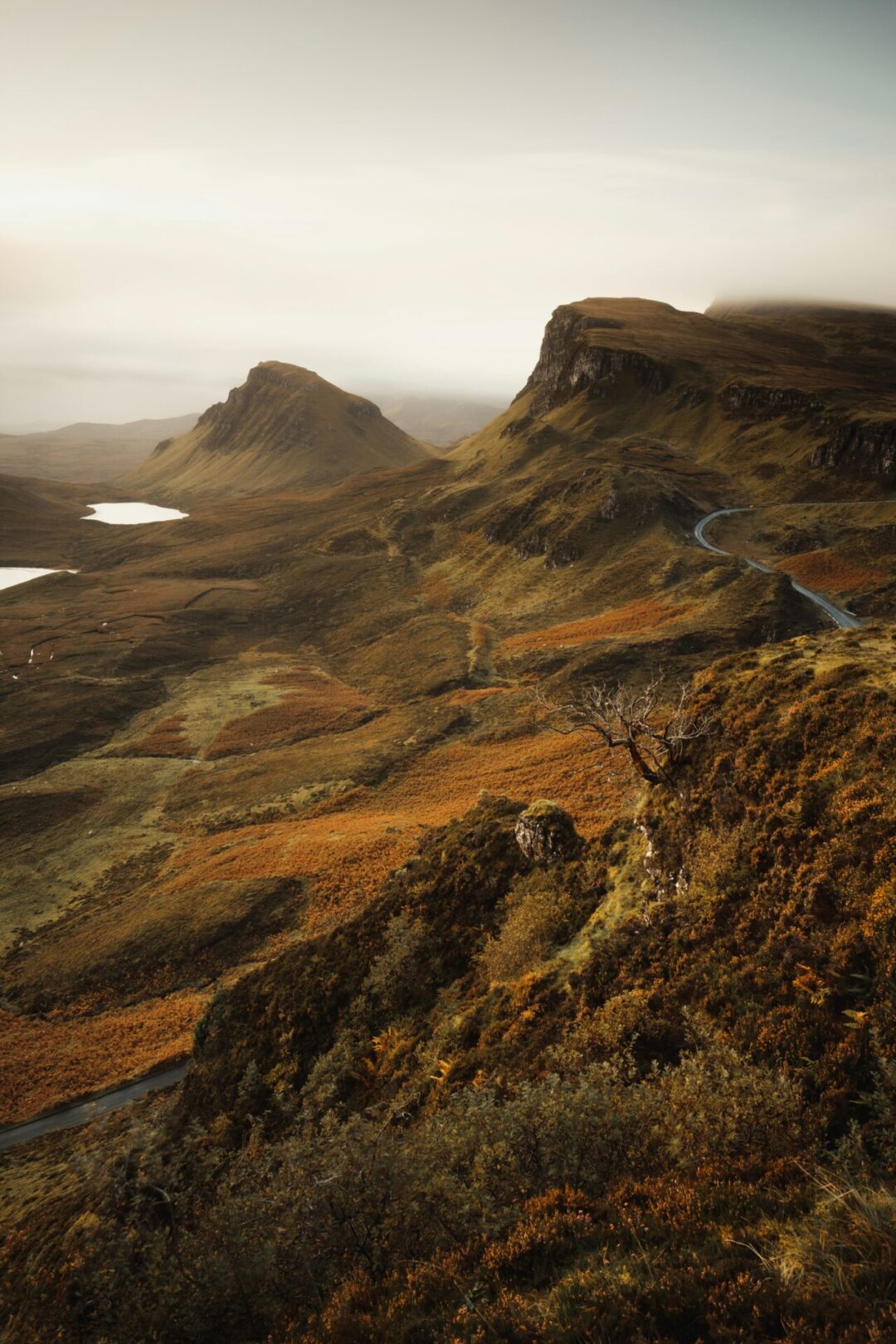 10 Best Solo Travel Countries For First-Timers: the Scottish countryside during autumn