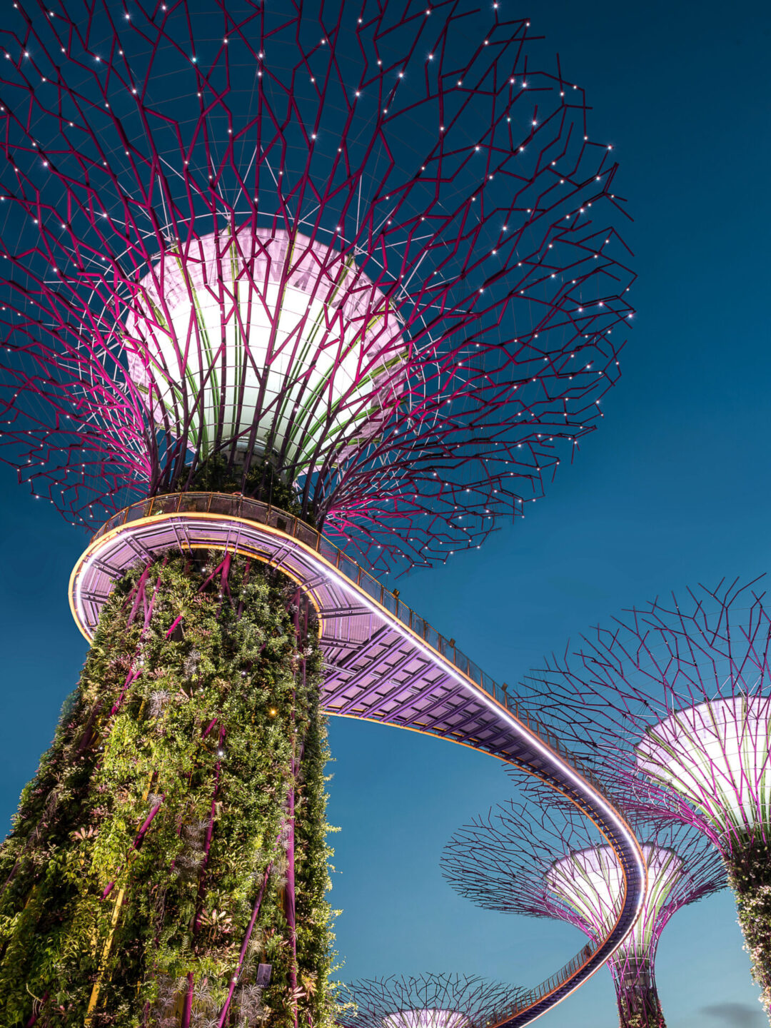 10 Best Solo Travel Countries For First-Timers: A view up at one of the displays at Gardens by the Bay in the evening in Singapore