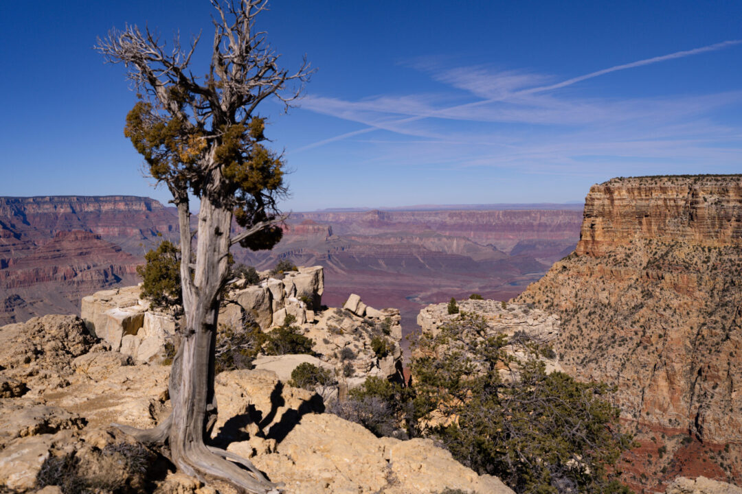 Best Grand Canyon Viewpoints: The view of the Grand Canyon from Moran Point
