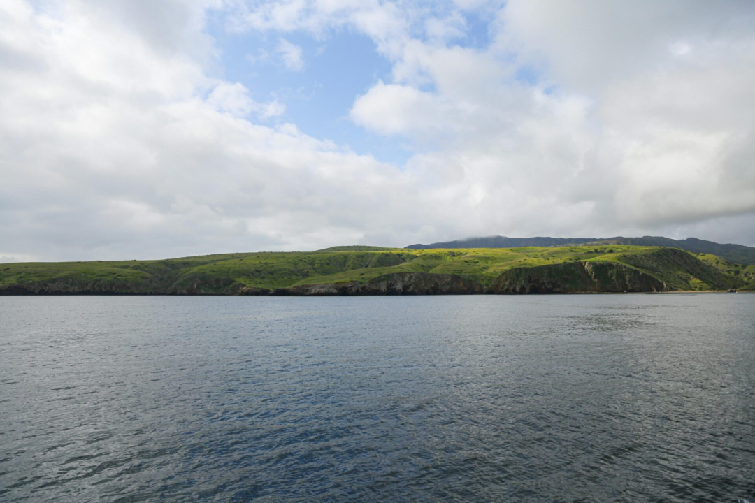 The sun shining on the green Santa Cruz island in Channel Islands National Park