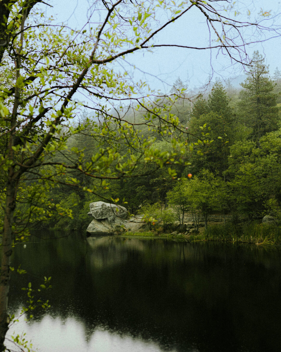 A view of a lake in Idyllwild, California, one of The Best Weekend Trips from Los Angeles: 
