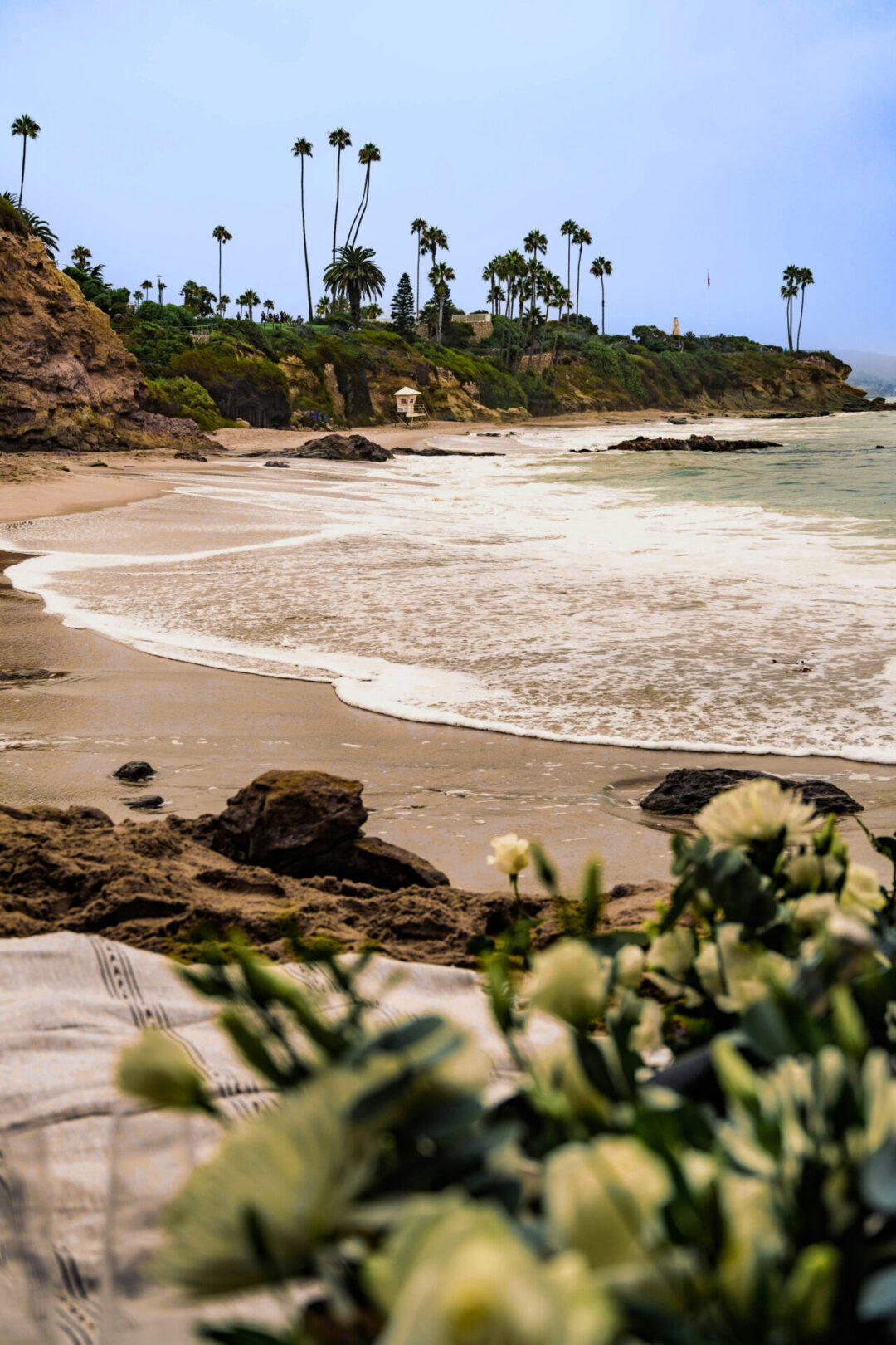 An empty beach with palm trees in the background in Laguna Beach, California