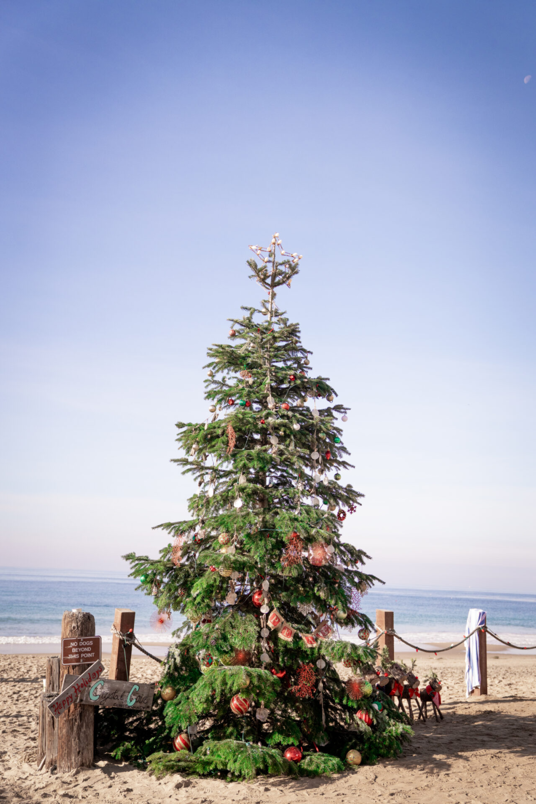 A Christmass tree on the beach in Crystal Cove, California