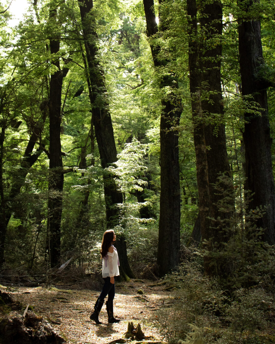 Travel Blogger Jordan Gassner walking through "Lothlorien" in Paradise, New Zealand