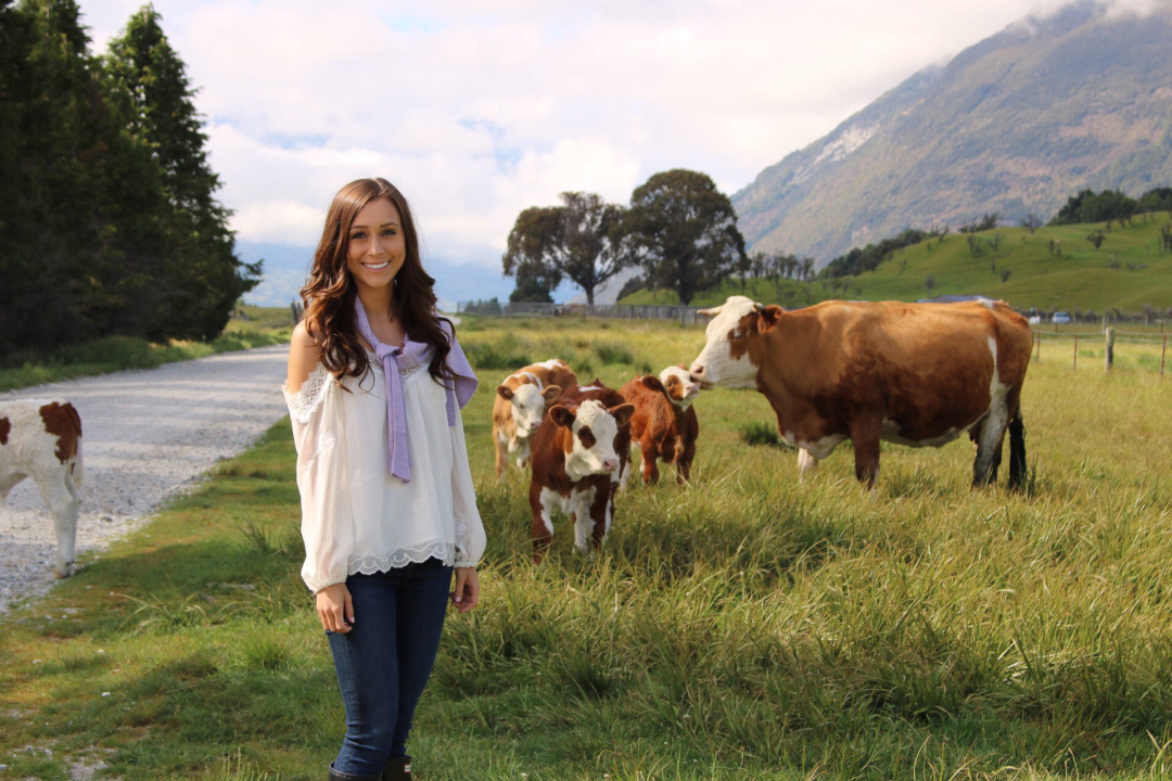 Travel Blogger Jordan Gassner posing with some baby cows alongside the road in Paradise, New Zealand
